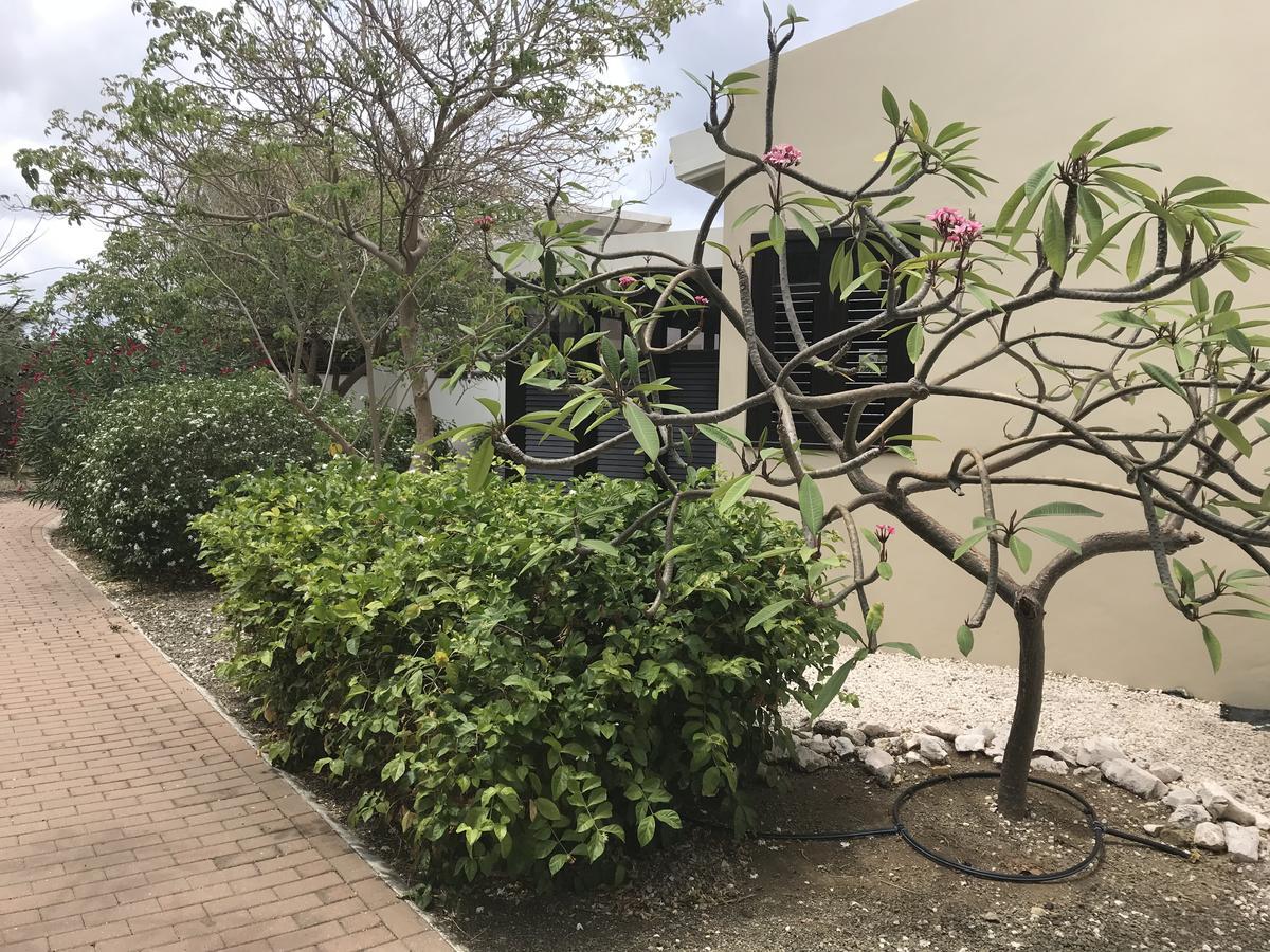 Blue Bay Resort Garden Dorp Dorp Sint Michiel Екстериор снимка